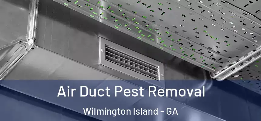  Air Duct Pest Removal Wilmington Island - GA