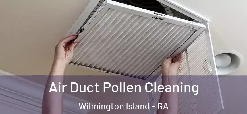  Air Duct Pollen Cleaning Wilmington Island - GA