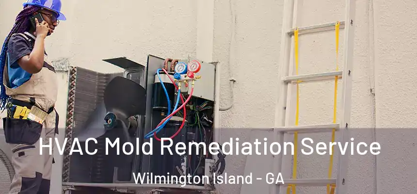  HVAC Mold Remediation Service Wilmington Island - GA