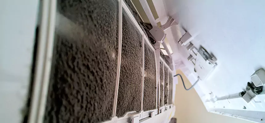 Preventive Air Duct Bacteria Removal in Wilmington Island