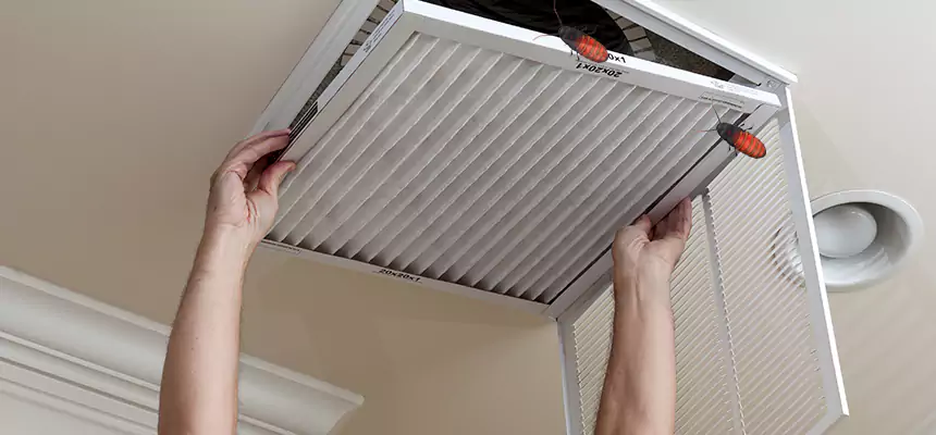 Preventive Cockroach-Proofing for Ducts in Wilmington Island