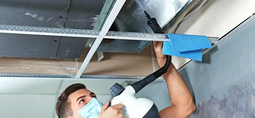 Our Air Duct Rodent Removal Services in Wilmington Island, GA