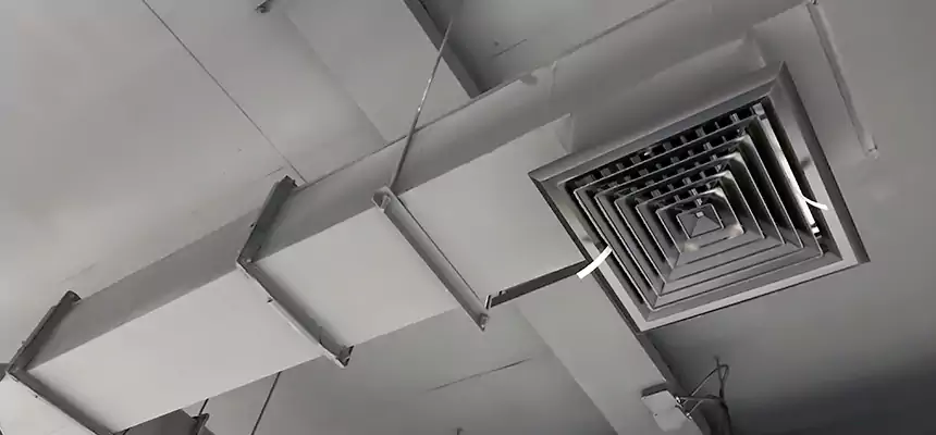 Our Rodent Droppings In Vents Services in Wilmington Island, GA