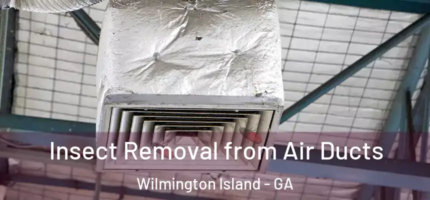  Insect Removal from Air Ducts Wilmington Island - GA
