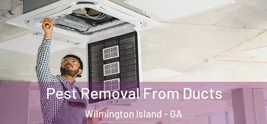  Pest Removal From Ducts Wilmington Island - GA