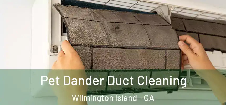  Pet Dander Duct Cleaning Wilmington Island - GA