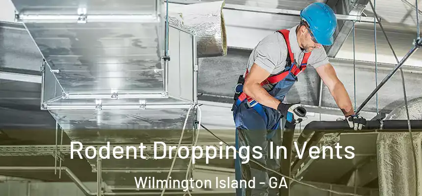  Rodent Droppings In Vents Wilmington Island - GA