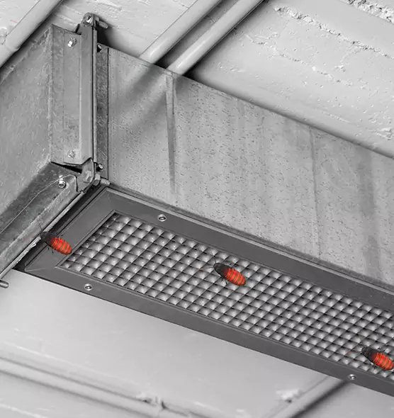About Air Duct Cockroach Removal in Wilmington Island, GA