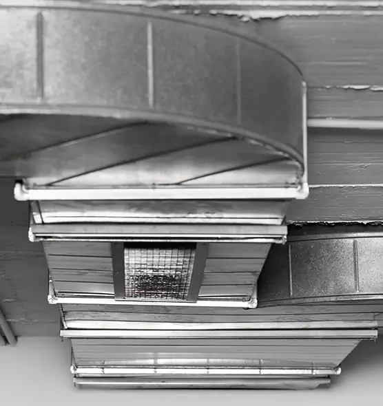 Professional Air Duct Pest Removal in Wilmington Island, GA