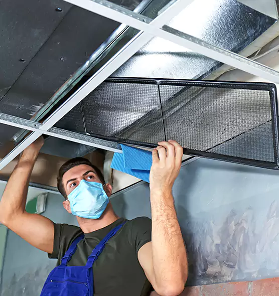 Professional Air Duct Pollen Cleaning in Wilmington Island, GA