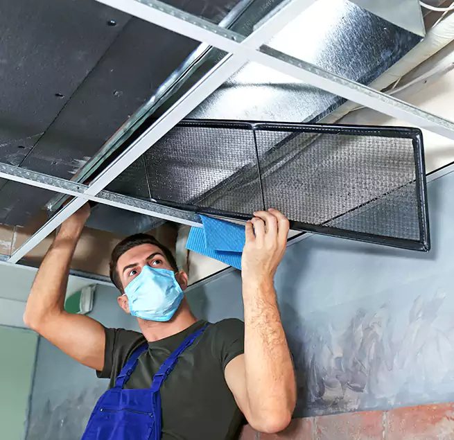 Why Homeowners Businesses Trust Us in Wilmington Island, GA